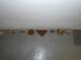 100 objects collected in 45 mins 10